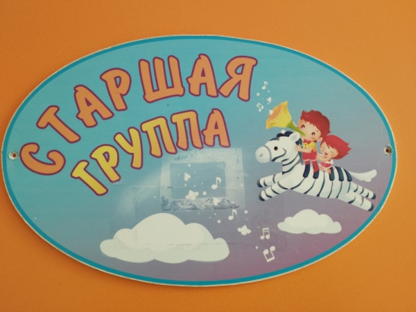 Старшая группа № 2